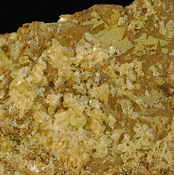 Whewellite - B�lina coal mine - B�lina - �st� Region - Bohemia - Czech Republic