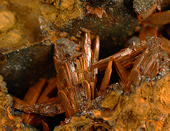 Santabarbaraite - Kerchenskoe deposit - Kerchenskyi(Fe)-ore basin - Kerch Pen. - Crimea Pen. - Russia (ex Ukraina)