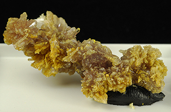 Krausite, coquimbite and alotrichite - Monte Arsiccio mine - Sant'Anna di Stazzema - Lucca prov. - �Apuan Alps - Tuscany - Italy