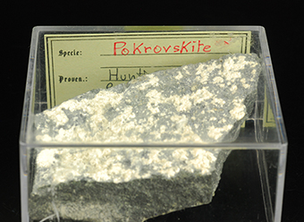 Pokrovskite - Hunting Hill Quarry - Rockville - Maryland - USA