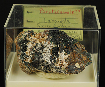 Paratacamite - La Vendida mine -�Sierra Gorda -�Antofagasta Prov. -�Antofagasta -�Chile