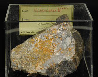 Scheuchzerite - Min. di Gambatesa - Val Graveglia - Ne (GE) - Liguria - Italy