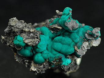 Pseudomalachite - Podlipa deposit -Ľubietov� - Bansk� Bystrica distr. -  Bansk� Bystrica Region - Slovakia
