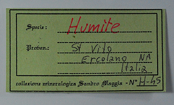 Humite - San Vito quarry - Somma-Vesuvius Complex - Naples Province - Campania � Italy