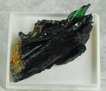 Vivianite - Cabe�a de Cachorro claim - Sao Gabriel de Cahoeira - Amazonas - Brazil