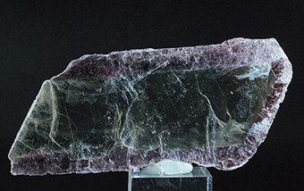 Crowned muscovite - Ira� - Alto Uruguay Region - Rio Grande do Sul - Brazil