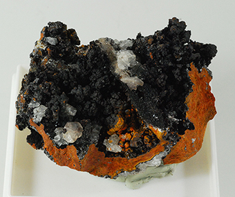 Calchophanite - Ojuela Mine - Mapim� - Mun. de Mapim� - Durango - Mexico