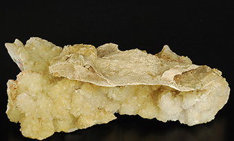 Palygorskite over dolomite - Mt.Cornon - Val di Fiemme - Trento Prov. - Trentino - Alto Adige - Italy