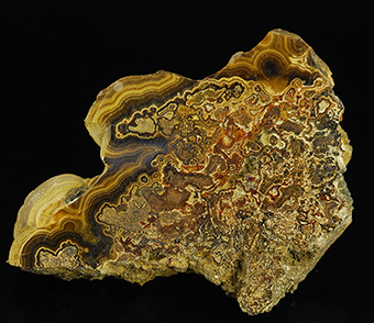 Schalenblende (var. of sphalerite) - Cimiti�re quarry - Seilles - Andenne - Namur - Wallonia - Belgium