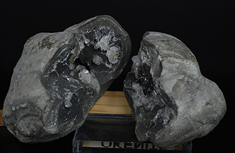 Quartz in septaria - Barsac - Die - Dr�me - Auvergne-Rh�ne-Alpes - France