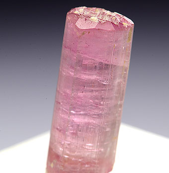 Elbaite var. Rubellite - Pala, San Diego Co., California, USA