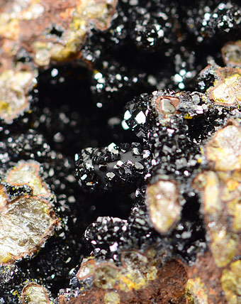 Beudantite -    Sch�ne Aussicht Mine, Dernbach, Neuwied, Wied Iron Spar District, Westerwald, Rhineland-Palatinate, Germany