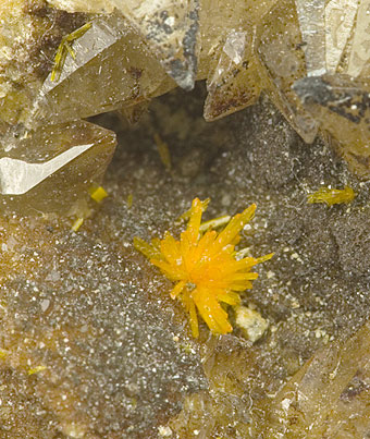 Boltwoodite - R�ssing Uranium Mine, Arandis, Swakopmund District, Erongo Region, Namibia