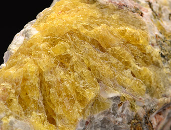 Meliphanite - Stokk�ya, Langesundsfjorden, Larvik, Vestfold, Norway