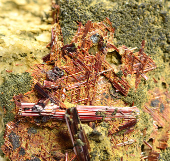 Rutile var. Sagenite - Vizze Valley, Alto Adige, Italy