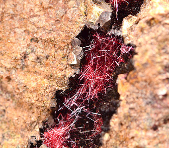Cuprite var. Chalcotrichite - Daye Mine - Hubei Prov. - China