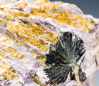 Tinaksite - Murunskii Massif, Chara and Tokko Rivers Confluence, Aldan Shield, Saha Republic ,Yakutia, Eastern-Siberian Region, Russia - Type Locality