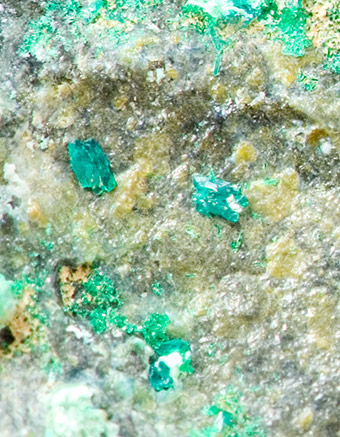 Veszelyite -   Baccu Locci Mine, Villaputzu, Cagliari Province, Sardinia, Italy
