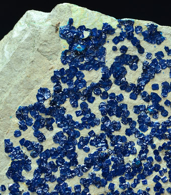 Cornetite, Star of the Congo Mine, Shaba, Democratic Republic of Congo