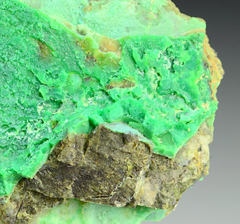 Falcondoite with Willamseite - Loma Peguera - Falcondo Plant - Bonao - Monsenor Nouel Prov. - Dominican Rep. (Type Locality)