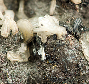 Hutchinsonite with Baryte - Quiruvilca Mine (La Libertad Mine; ASARCO Mine), Quiruvilca District, Santiago de Chuco Province, La Libertad Department, Peru