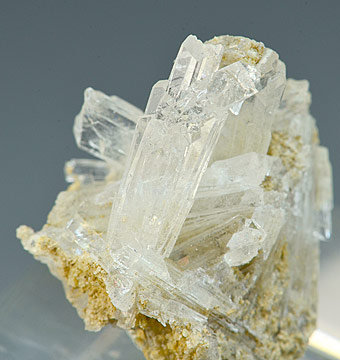 Nifontovite - Level nr. 16 - Rey y Reina Mine (King and Queen Mine) - Charcas - Mun. de Charcas - San Luis Potos� - Mexico