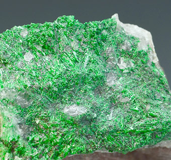 Haradaite - Valgraveglia Mine (Gambatesa Mine), Reppia, Graveglia Valley, Ne, Genova Province, Liguria, Italy