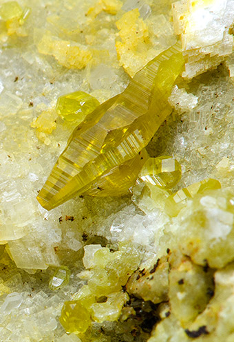 Parisite-(Ce)/Sinchisite-(Ce) - Trimouns - Luzenac - Ariege - France