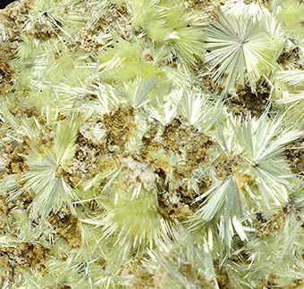 Metamunirite - Yellow cat, Thompson district, Grand Co. , Utah