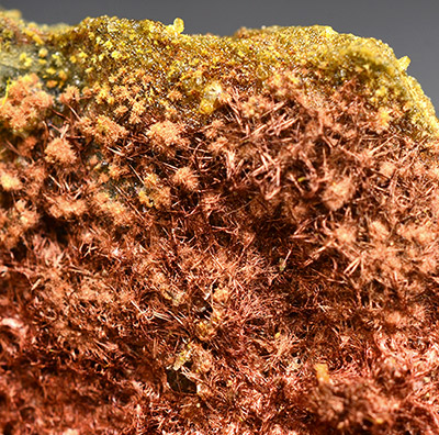 Hewettite with Fervanite - Gold Quarry Mine, Maggie Creek Subdistrict,  Carlin Trend,  Eureka Co.,  Nevada,  USA