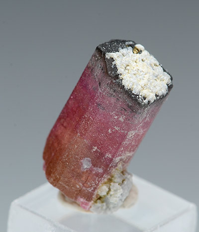 Elbaite - Ouarzazate Province Sous-Massa-Draa Region - Morocco