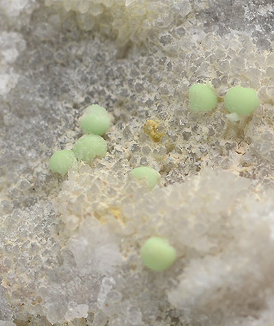 Minyulite - Pereta mine - Pereta - Scansano - Grosseto prov. - Tuscany - Italy