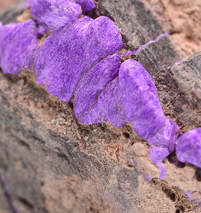 Sugilite N'Chwaning II Mine, Kuruman, Kalahari manganese field, Northern Cape Province, South Africa