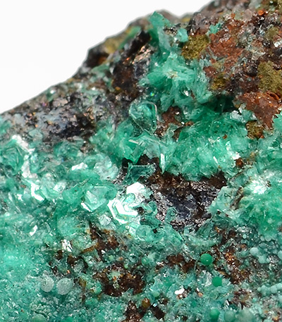 Chalcophyllite - Perda Niedda Mine, by Domusnovas, Province of Cagliari, Sardinia - Italy