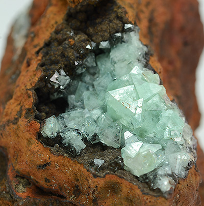 Cuproadamite - Ojuela Mine - Mapimi - Durango - Mexico