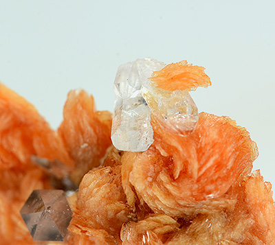 Tinzenite - Molinello Mine - Graveglia Valley - Genoa Province - Ligury - Italy