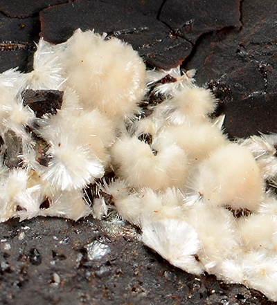 Churchite-(Y) - Maffei Mine ,Auerbach, Upper Palatinate, Bavaria, Germany (Type Locality)