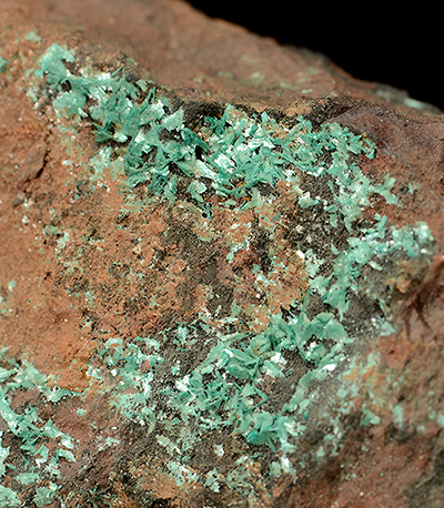 Botallackite - Levant Mine, Trewellard, Botallack - Pendeen Area, St. Just District, Cornwall, England, UK