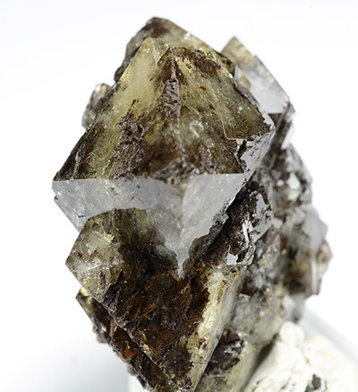 Mellite - Sordakuit Banya - Tatabanya - Komarom-Esztergam Co. - Hungary (Type Locality)