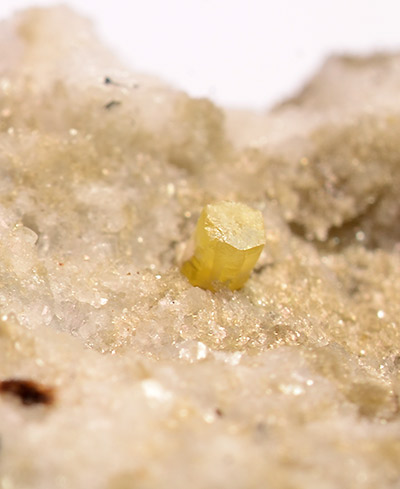 Synchysite-(Ce) - Pizzo Lucendro, Lucendro Valley, Central St Gotthard Massif, Leventina, Ticino, Switzerland