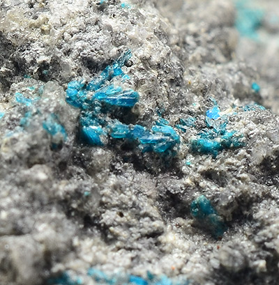 Chalcomenite - Baccu Locci mine - Villaputzu - Cagliari prov. - Sardinia - Italy