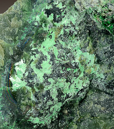 Hellyerite with Zaratite - Lord Brassey Mine, Heazlewood district, Waratah-Wynyard municipality, Tasmania, Australia (TL)