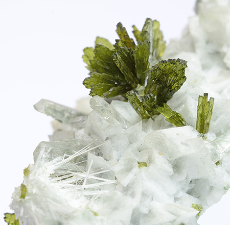 Epidote with Scolecite -   Gneiss quarries, Arvigo, Calanca, Calanca Valley, Moesa, Mesolcina Valley, Grischun, Switzerland