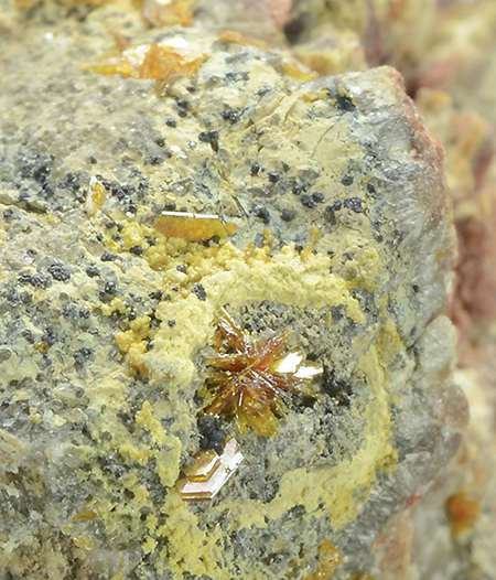 Pucherite - Pucher Shaft - Wolfgang Maassen Mine field - Schneeberg distr. - Erzgebirge - Saxony - Germany (Type Locality)
