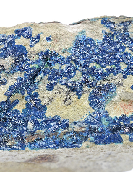 Cornetite, Star of the Congo Mine, Shaba, Democratic Republic of Congo