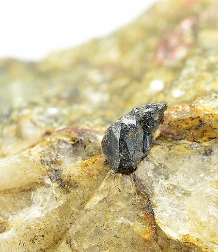 Cleusonite - Bella Tola m. 2930 , Saint-Luc, Val d'Anniviers, Wallis , Switzerland