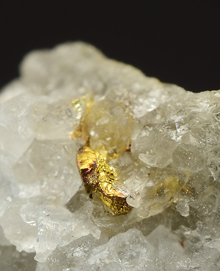 Gold - Roşia Montană, Roşia Montan� Commune, Alba, Romania