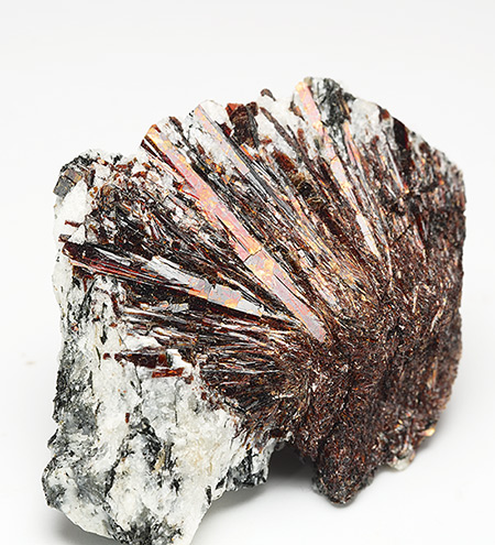 Astrophyllite - Khibiny Massif - Kola Peninsula - Murmanskaja Oblast' - Northern Region - Russia