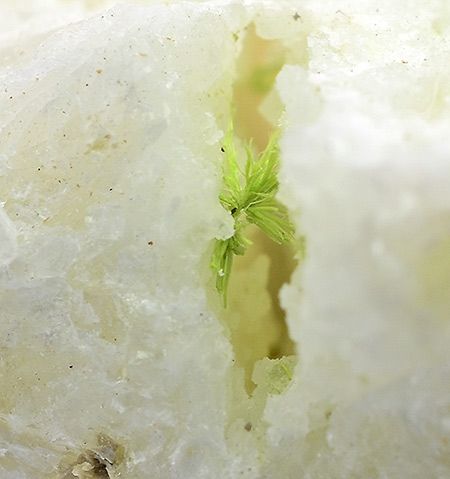 Jamborite - Ca' dei Ladri, Emilia-Romagna, Italy (TL)