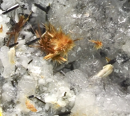 Sazhinite-(La), Tuperssuatsiaite - Aris quarries, Aris, Khomas Region, Namibia (TL)